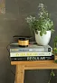  Bamboo wireless charger speaker - XD Collection
