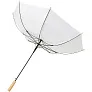 Alina 23" auto open recycled PET umbrella