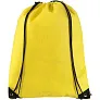 Evergreen non-woven drawstring backpack