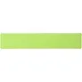 Rothko 20 cm plastic ruler