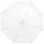 Ida 21.5" foldable umbrella