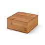 ARNICA Tea box