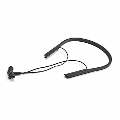 Earphones
