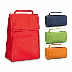 Foldable cooler bag