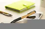 RUB Bamboo ball pen
