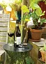  Vino Sommelier set 3pc - XD Collection
