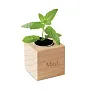 MENTA Herb pot wood "MINT"