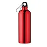 BIG MOSS aluminijska boca 750ml