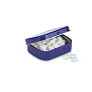 BRISE Easy tin silver w/mints