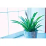 GARDENIA set alata za vrtlarenje