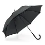 MICHAEL Umbrella