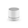 PEREY Speaker with microphone