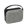 TEDS Speaker with microphone
