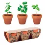 FLOWERPOT Terracotta 3 herb pot set