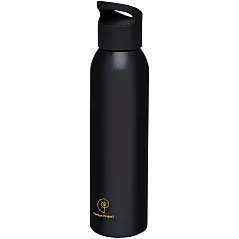 650 ml sport bottle