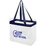 Hampton transparent tote bag