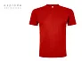 MASTER MEN T-shirt. 100% cotton - EXPLODE