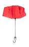Cirros umbrella