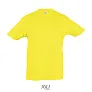 REGENT KIDS TSHIRT-150g