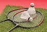  Badminton set - XD Collection