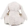  RABBIT AND BLANKET - Mumbles