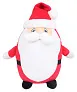  ZIPPIE FATHER CHRISTMAS - Mumbles