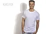 MASTER MEN T-shirt. 100% cotton - EXPLODE