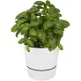 Herbs Tegla za biljke - Mepal