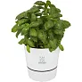 Herbs Tegla za biljke - Mepal