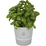 Herbs Tegla za biljke - Mepal