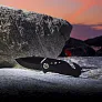 INTACT folding knife