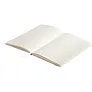 CARMONA notes s crtama