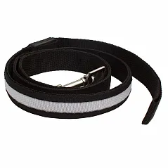 dog collar