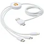 Pure 5-in-1 charging cable with antibacterial additive