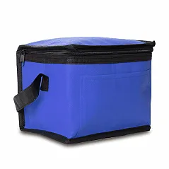 insulated lunch bag