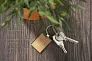 RENGO Keychain