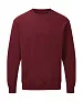  Men's Raglan Sweat - SG