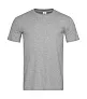  Classic-T Fitted - Stedman