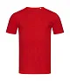  Shawn Crew Neck Men - Stedman