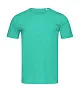  Shawn Crew Neck Men - Stedman