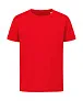  Sports-T Kids - Stedman