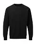  Men's Raglan Sweat - SG