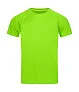  Raglan sportska muška kratka majica - Stedman