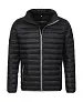 Padded Jacket - Stedman