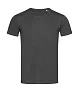  Ben Crew Neck - Stedman