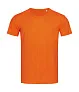  Ben Crew Neck - Stedman
