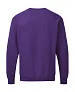 Men's Raglan Sweat - SG
