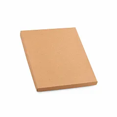 Notepad with ball pen