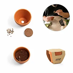 Clay pot with dill