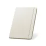 MONDRIAN A5 Notes